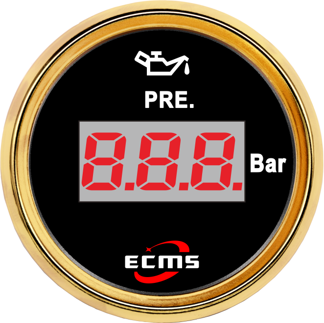 ECP/ECP2-數(shù)顯壓力表
