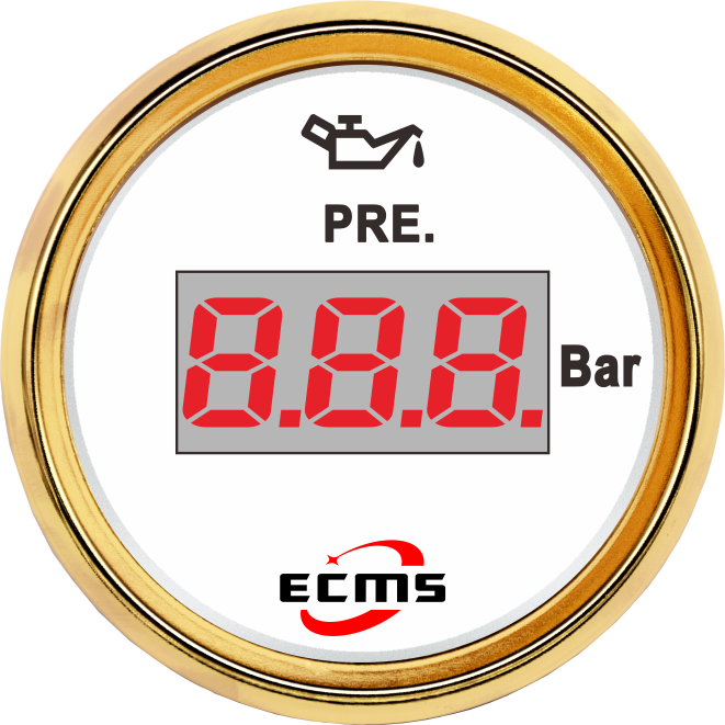 ECP/ECP2-數(shù)顯壓力表